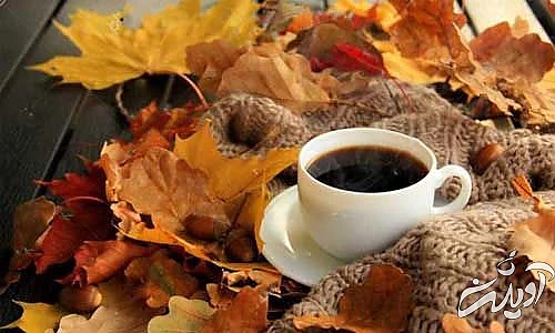 با این دمنوشها سیستم تنفسی خود را تقویت کنید